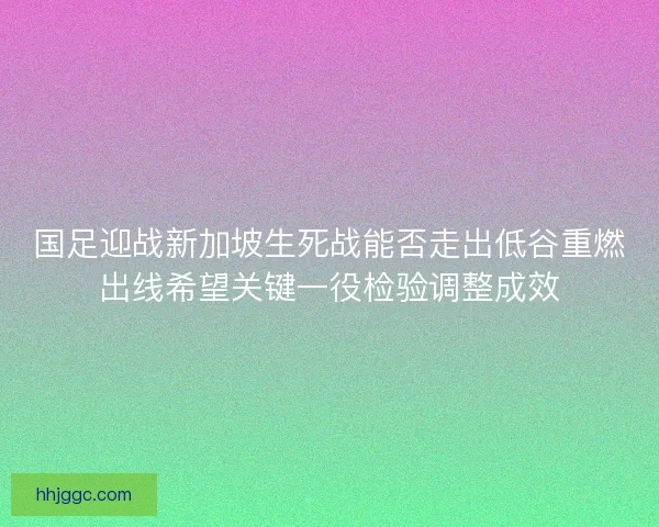 国足迎战新加坡生死战能否走出低谷重燃出线希望关键一役检验调整成效